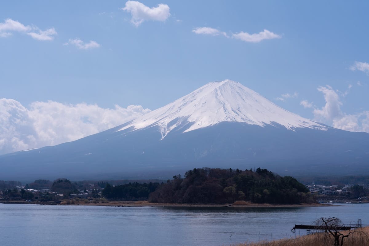 河口湖对岸的富士山，湖心有一座长满树木的小岛