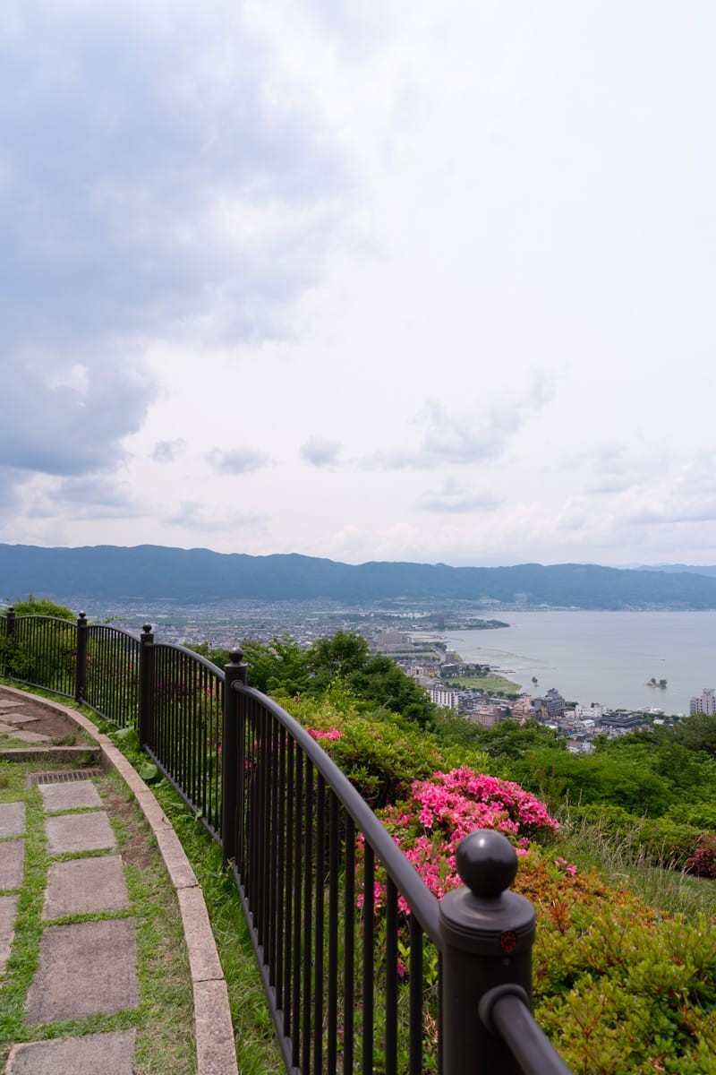 公园的步道，杜鹃花开在栏杆边，远处是诹访湖